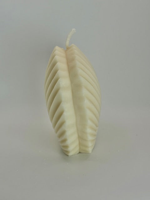Scallop Shell Candle Large - Divine Glow