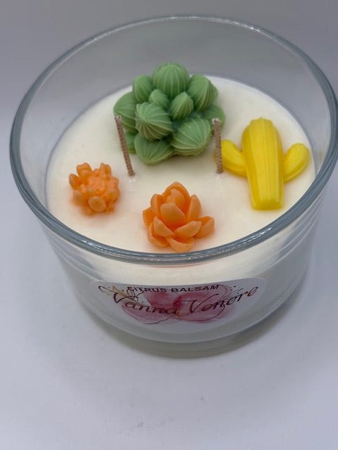 Citrus Balsam Cactus Decor 15 oz Clear Container