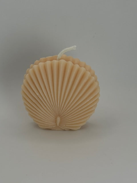 Mini Scallop Shell - Beach Linen - Soft Sand