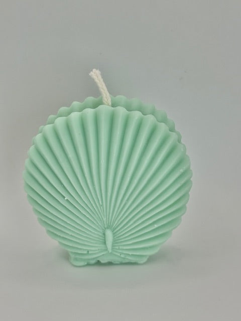 Mini Scallop Shell - Sea Moss & Aloe