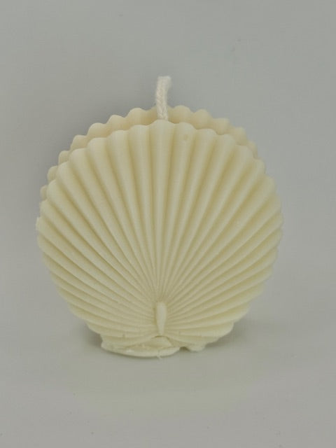 Mini Scallop Shell - Divine Glow Scent